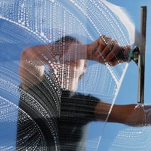 Window Cleaning
