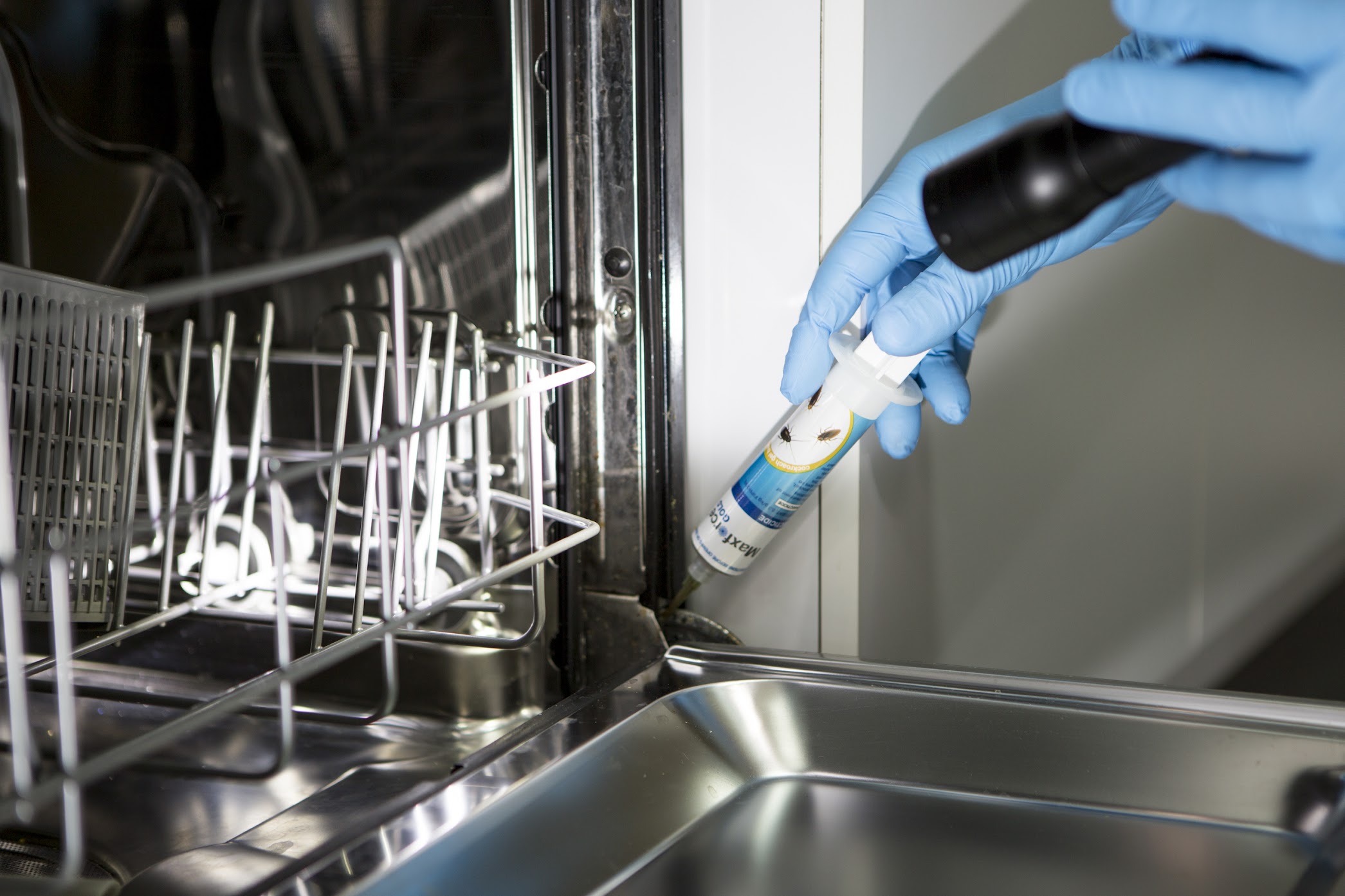 Most Common Household Pests In Australia