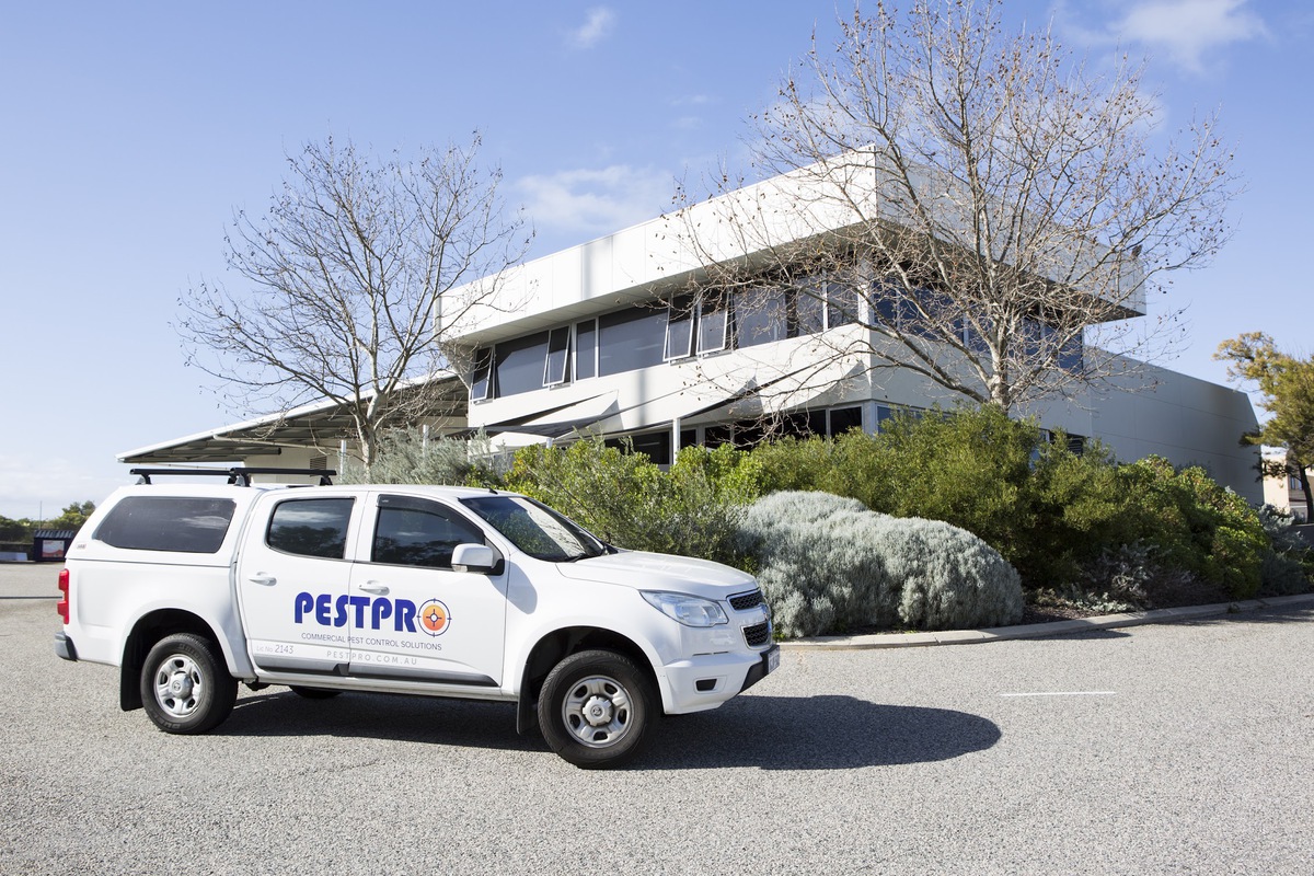 Differences Between Commercial and Residential Pest Control