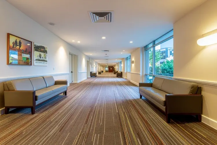 Pest Control in Aged Care: Protecting Vulnerable Residents in Perth Facilities