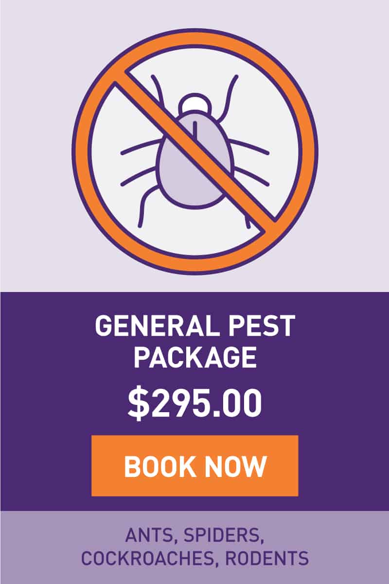 General Pest Package