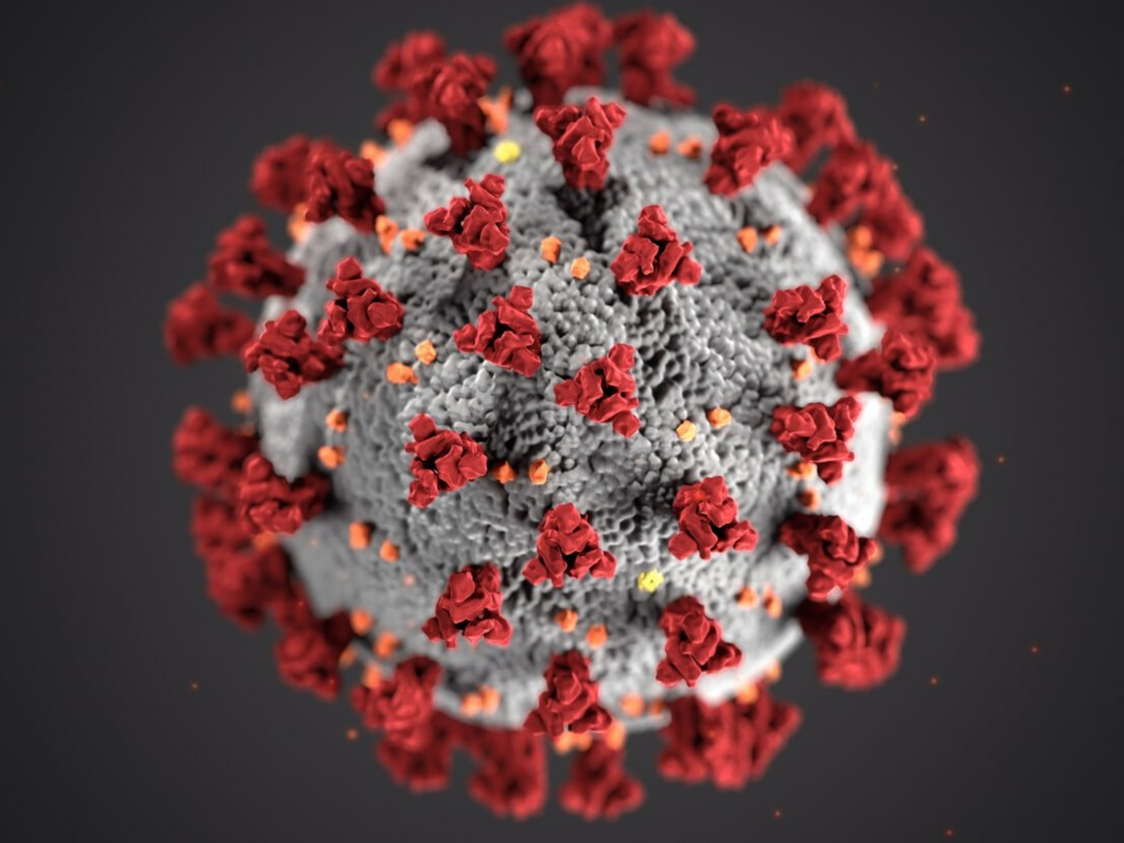 Coronavirus Outbreak Hygiene Information