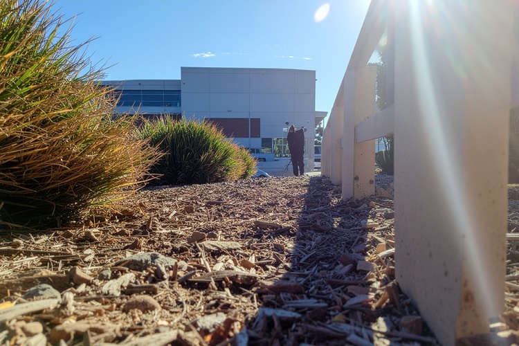 Why Perth's Climate Makes Businesses More Vulnerable to Pest Outbreaks