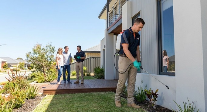 Residential Pest Control Services in Perth for Homeowners